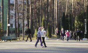 У «Пролісок» по здоров’я їдуть навіть європейці