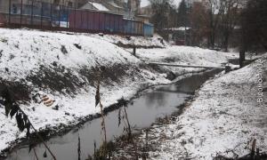 Сапалаївку чистять від самосійних дерев