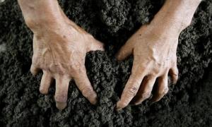 Монопольне право на українську землю отримає Кабмін 