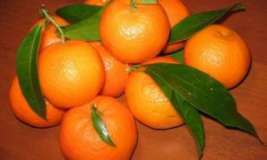 У грудні українці з’їдають 60% річного обсягу споживання мандаринів