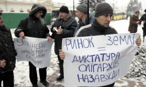 Українську землю готуються продати за безцінь