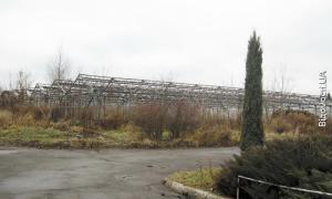 Овочі з підгайцівського тепличного комбінату можуть знову з’явитися на прилавках