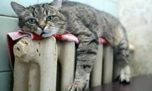 У Луцьку хочуть підняти тарифи на опалення