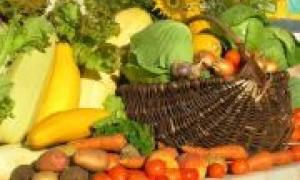 За будівництво овочесховищ компенсовано 74 млн. гривень