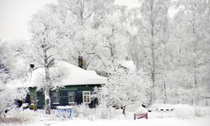 Синоптики пообіцяли сніг і мороз на Новий рік