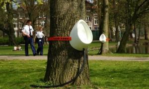 В Данії встановили пісуари на деревах