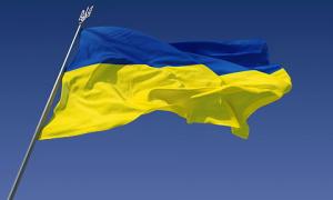 Опозиція: Влада готує закони, які загрожують суверенітету України