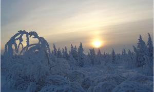 У Росії вдарили аномальні морози — до -60 градусів