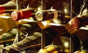 Вкрав у сусідів італійське вино, що стало причиною смерті