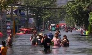 Стихії завдали світу збитків на 366 млрд. доларів