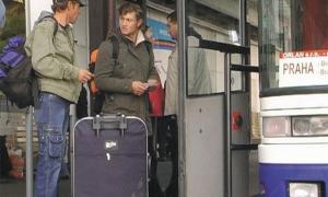 За 700 євро влаштували на неіснуючу роботу за кордоном