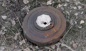 У лісі на Любомльщині знайшли ящик із 16 мінами