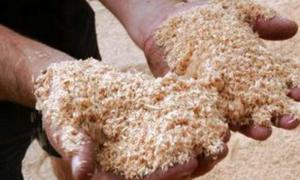 Волинянин виготовляв тирсобрикети масово, але нелегально