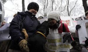 Кабмін пікетують захисники тварин із безпритульними чотирилапими