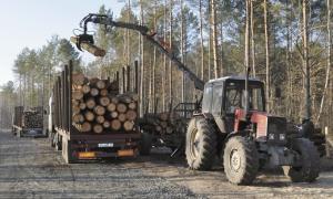 Держлісгоспи Волині «освоїли» шістдесят шість мільйонів без тендерів