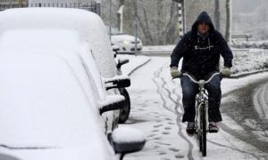 У Луцьку всі готуються до екстрених умов похолодання