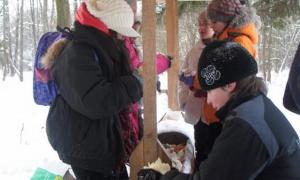 Діти підгодовують диких звірів овочами, фруктами і цукерками