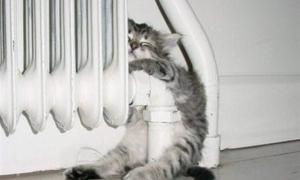 Оперативний штаб у зв’язку з морозами діятиме в Луцьку до 12 лютого