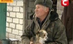 На Волині їдять собак