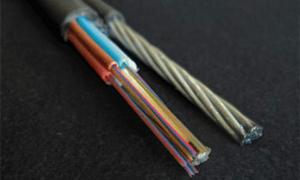 У Ківерцях зловили викрадача телефонних кабелів