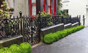 У Новій Зеландії пакети зі сміттям перетворюють на «живі огорожі»