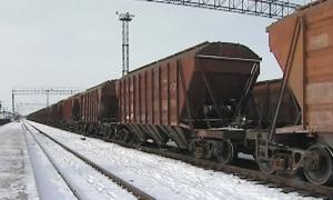 Поляки відмовляються приймати ріпак із фосфіном