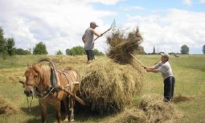 Багато селян можуть не отримати пенсію через бюрократичну тяганину