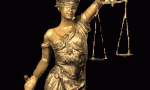 У Луцьку пограбували колегію адвокатів