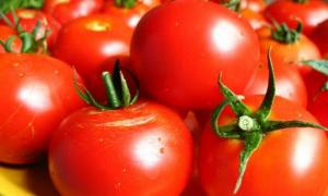 Мама Дмитра Фірташа на 10 гектарах вирощуватиме помідори і перець