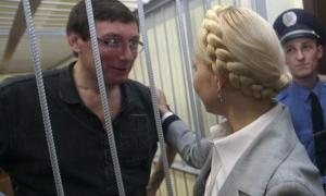 Експерт: Судова експертиза у справах Тимошенко і Луценко проводилася під примусом