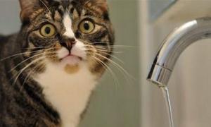 Вода подорожчала на 8%