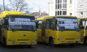 Романюк вважає пікет підприємства Голєвої тиском