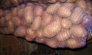 Волинське насіння — найчистіше в Україні