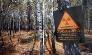 Депутати хочуть побудувати у Чорнобильській зоні санаторії й бази відпочинку 