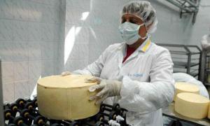 Через тиждень Росія почне перевірку українських сирів