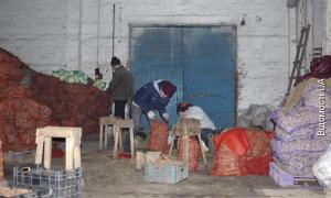 Волинський фермер реконструював два овочесховища без жодної бюджетної гривні