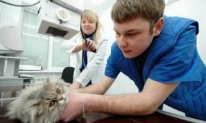 Кетамін дозволено використовувати ветеринарам, які мають ліцензію
