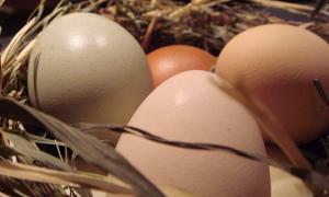 Яйця не подорожчають навіть на Великдень