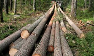 Будівництвом елітної школи у Конча-Заспі зайнялась прокуратура