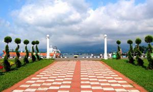 Грузини заманюють туристів безкоштовною чачею з фонтану