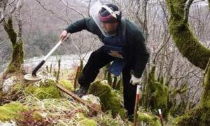 Росія повністю очищує Чечню від мін