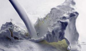 За здане молоко переробні підприємства заборгували волинянам 12 мільйонів