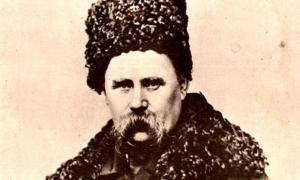2014 рік оголошено Роком Тараса Шевченка