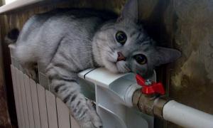 19 квітня у Луцьку закінчиться опалювальний сезон 