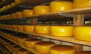 Порошенко у Росії реабілітував українські сири