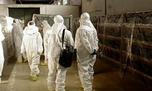 Північна Корея відмовилась від ядерного мораторію