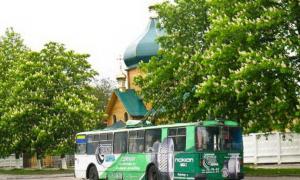 У Провідну неділю доїхати до кладовища в Гаразджі було нелегко