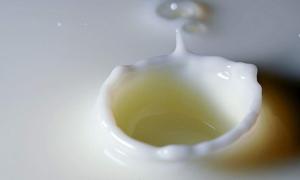 Міністр похвалився зростанням виробництва молока