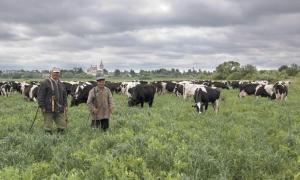Селяни мало знають про програми підтримки сільського господарства