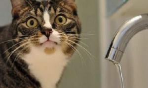 Ковельчани матимуть гарячу воду тільки чотири дні в тиждень